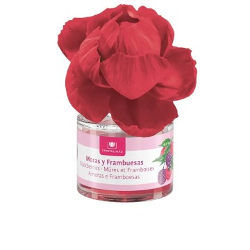 DUFTBLUME Lufterfrischer 0% Brombeeren und Himbeeren 40 ml