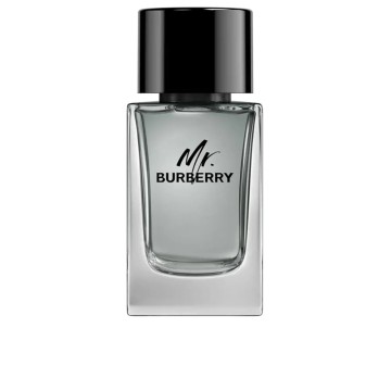 MR BURBERRY eau de toilette spray 100 ml