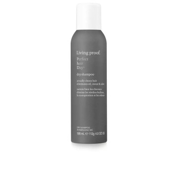 PERFECT HAIR DAY Trockenshampoo 198 ml